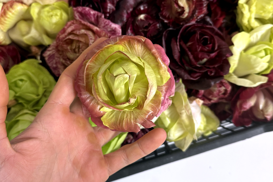 Vini selezionati Vini selezionati